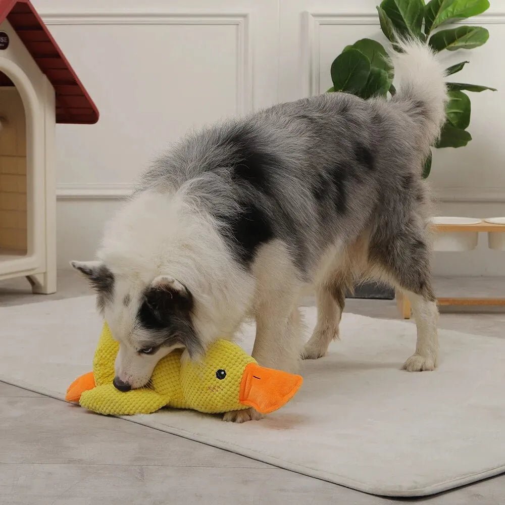 Calm Feathers Dog Toy